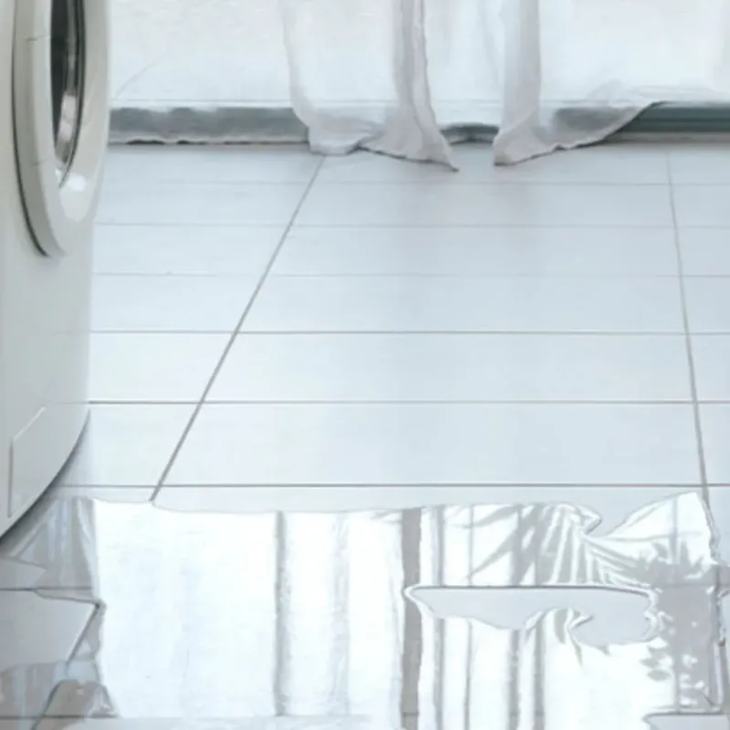 Appliance Leak Cleanup in Prince Edward County, VA