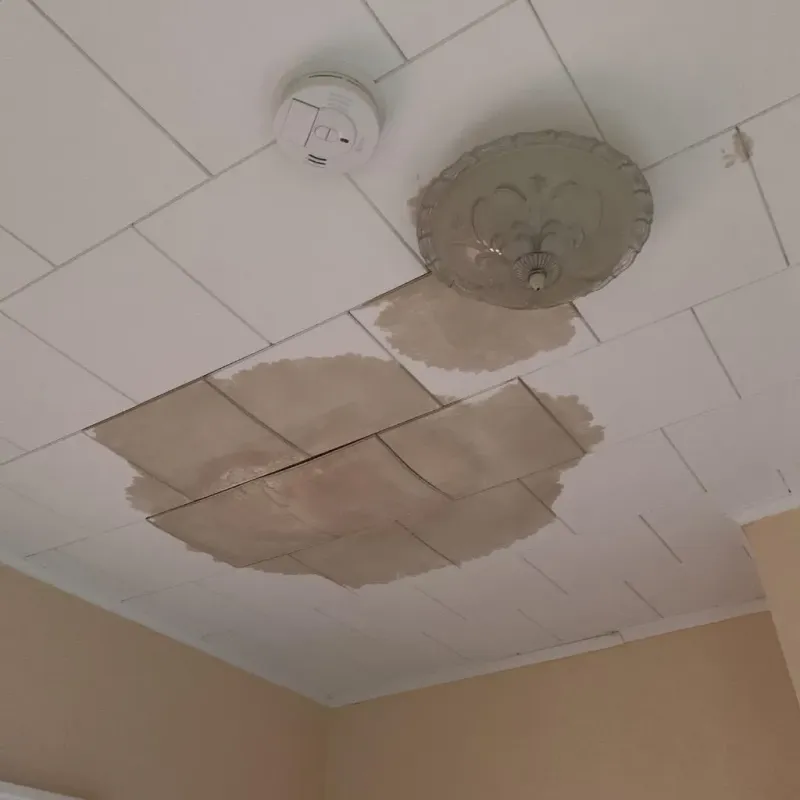 Ceiling Water Damage Repair in Prince Edward County, VA