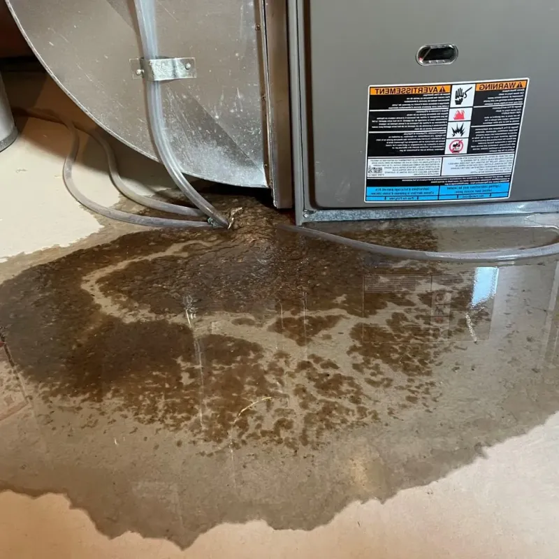 Pipe Burst and Leak Restoration in Prince Edward County, VA