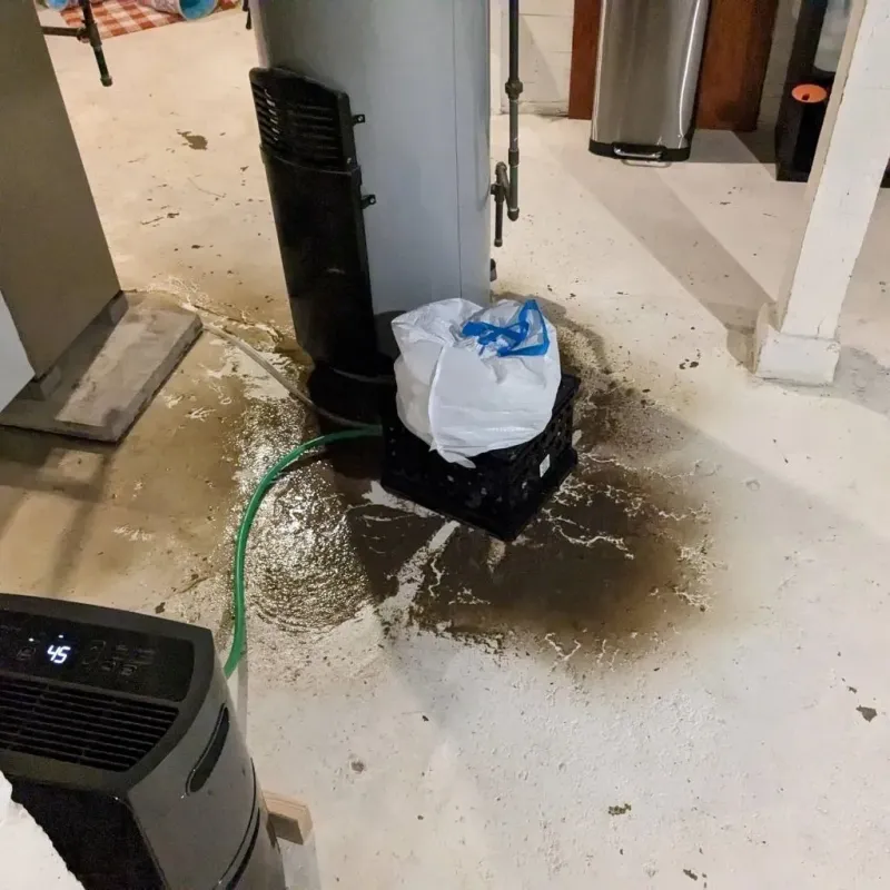 Sewage Backup Cleanup Service in Prince Edward County, VA